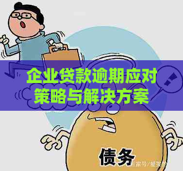 企业贷款逾期应对策略与解决方案