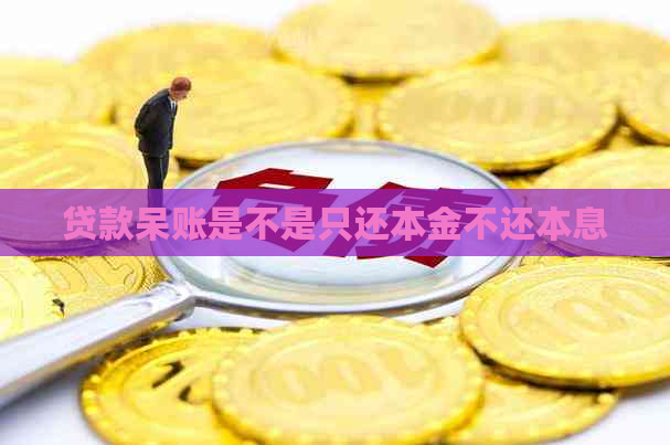 贷款呆账是不是只还本金不还本息