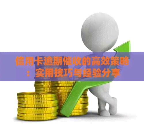 信用卡逾期的高效策略：实用技巧与经验分享