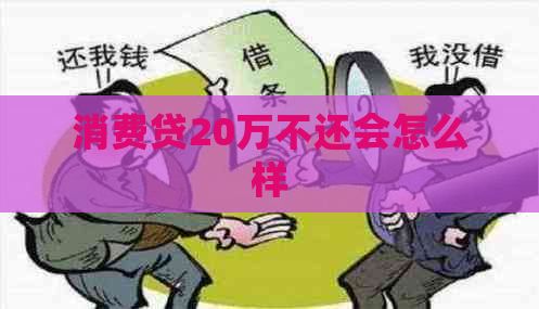 消费贷20万不还会怎么样