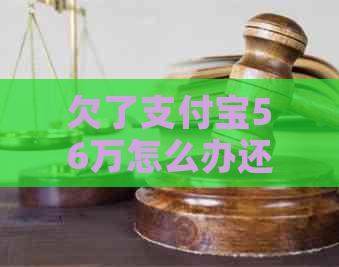 欠了支付宝56万怎么办还款方法