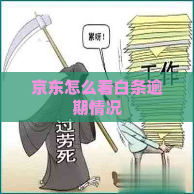 京东怎么看白条逾期情况