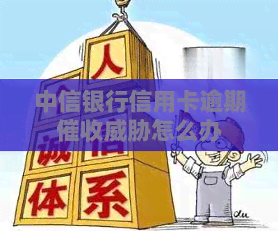 中信银行信用卡逾期怎么办