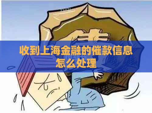 收到上海金融的催款信息怎么处理