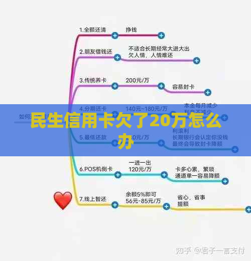 民生信用卡欠了20万怎么办