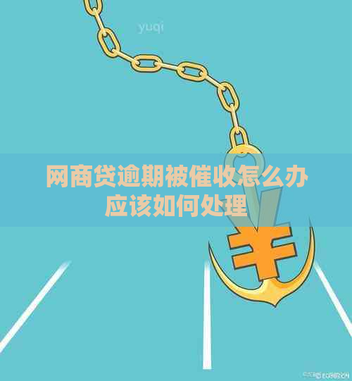 网商贷逾期被怎么办应该如何处理