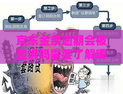 京东金条逾期会被起诉吗需要了解哪些法律常识