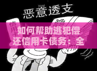 如何帮助逃犯偿还信用卡债务：全面解决方案和步骤