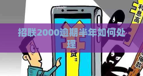 招联2000逾期半年如何处理