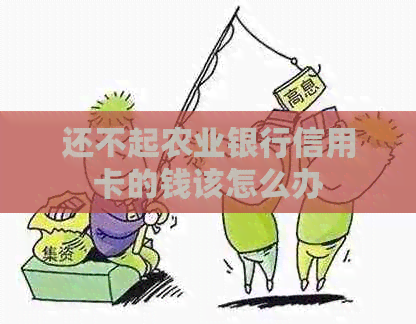 还不起农业银行信用卡的钱该怎么办