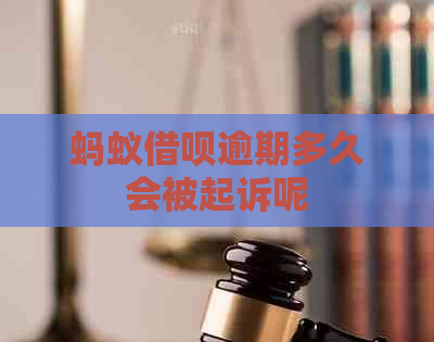 蚂蚁网贷逾期多久会被起诉呢