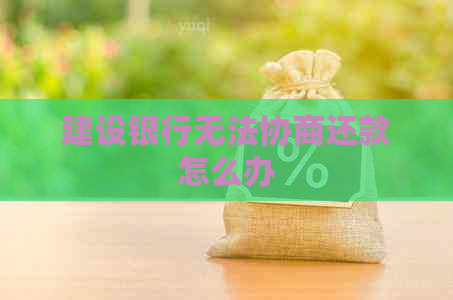 建设银行无法协商还款怎么办