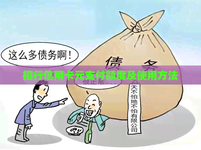 招行信用卡元支付额度及使用方法