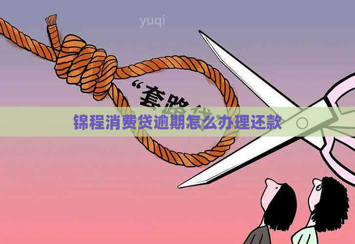 锦程消费贷逾期怎么办理还款