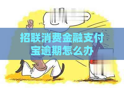 招联消费金融支付宝逾期怎么办