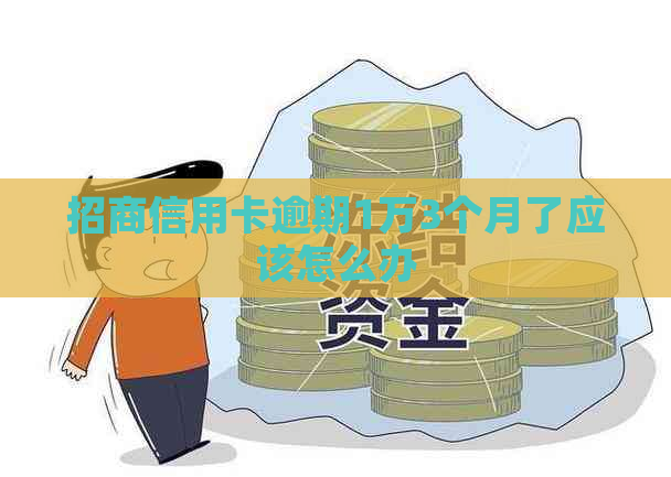 招商信用卡逾期1万3个月了应该怎么办