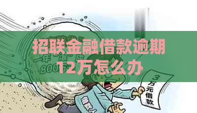 招联金融借款逾期12万怎么办