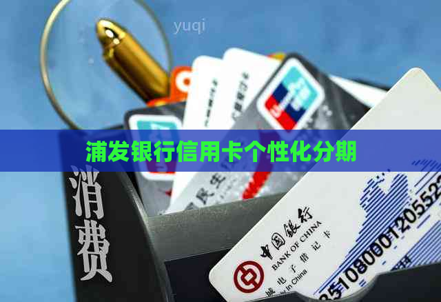 浦发银行信用卡个性化分期