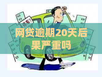 网贷逾期20天后果严重吗