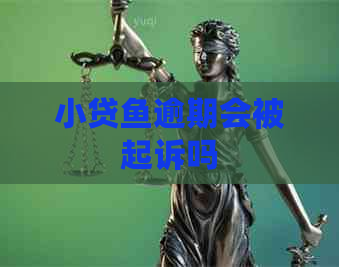 小贷鱼逾期会被起诉吗