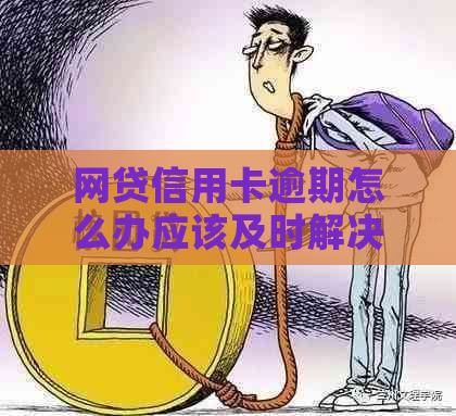 网贷信用卡逾期怎么办应该及时解决