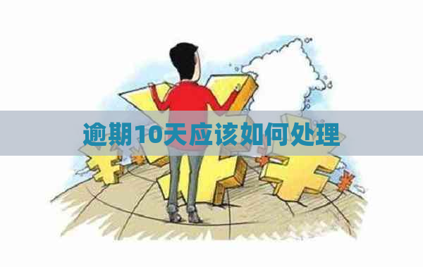 逾期10天应该如何处理