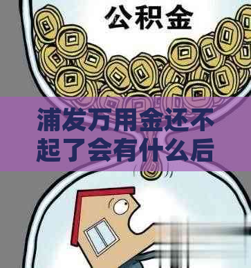 浦发万用金还不起了会有什么后果