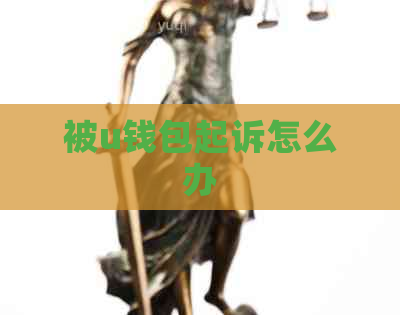 被u钱包起诉怎么办