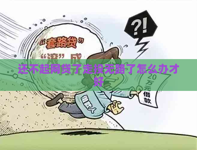 还不起网贷了走投无路了怎么办才好