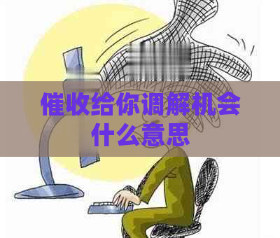 给你调解机会什么意思