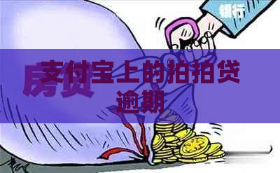 支付宝上的逾期