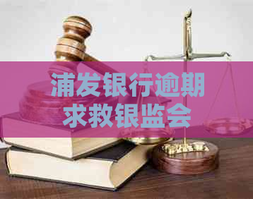 浦发银行逾期求救银监会