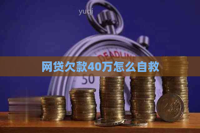 网贷欠款40万怎么自救