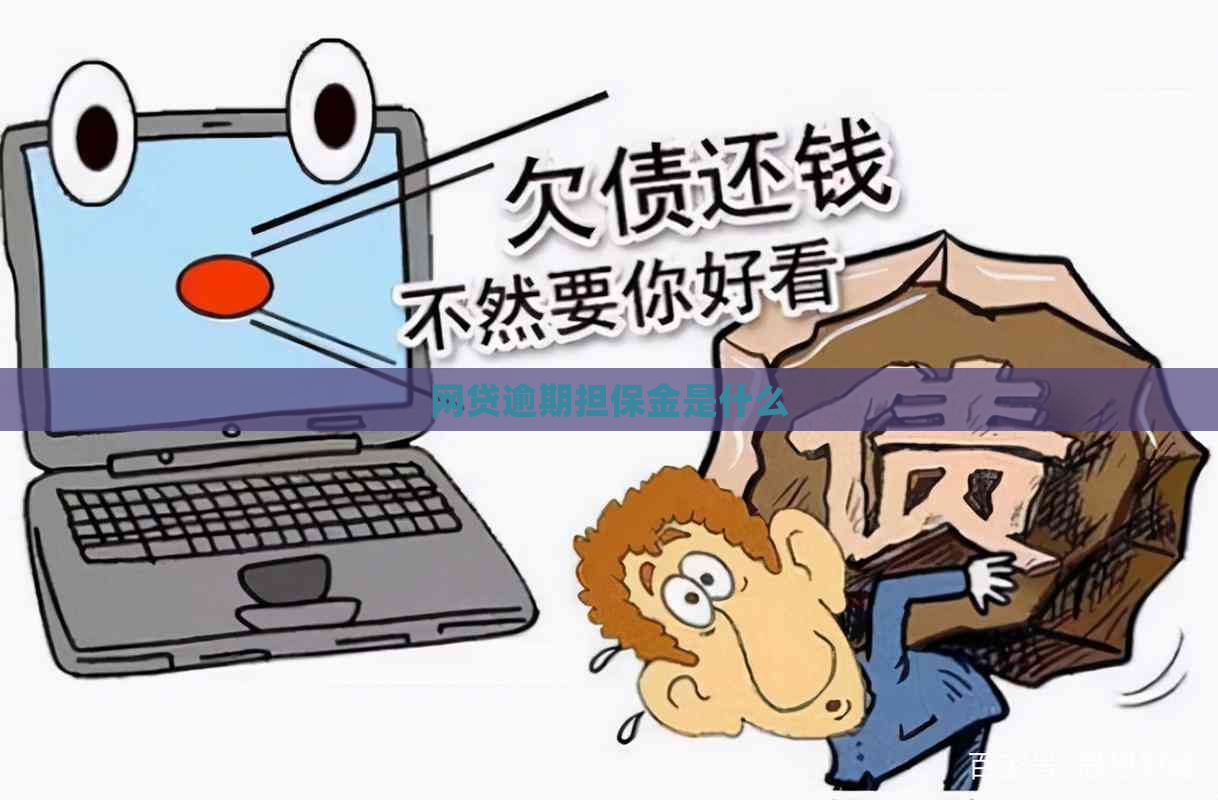 网贷逾期担保金是什么