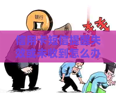 信用卡短信提醒失效或未收到怎么办？全面解决方案助你找回信用报告正常状态