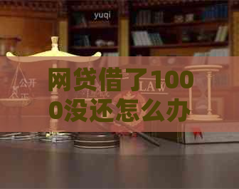 网贷借了1000没还怎么办