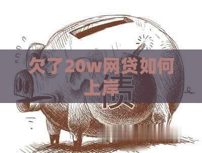 欠了20w网贷如何上岸