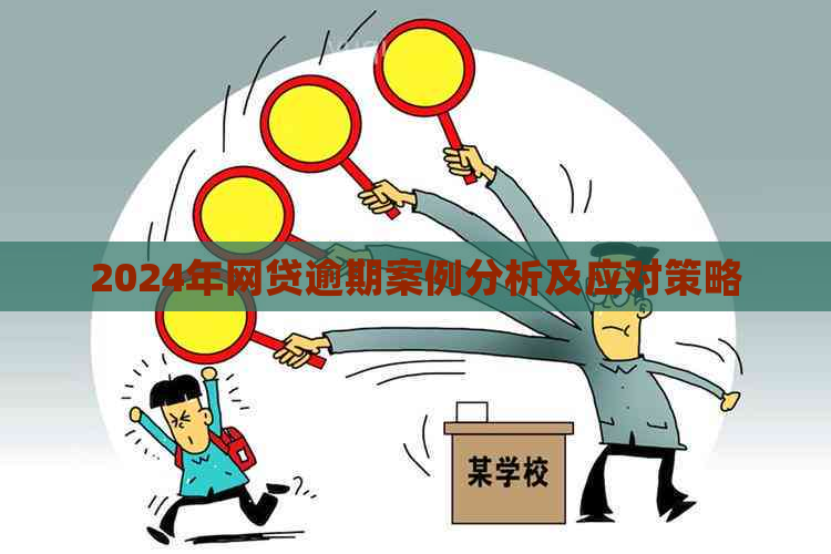 2024年网贷逾期案例分析及应对策略