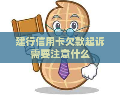 建行信用卡欠款起诉需要注意什么