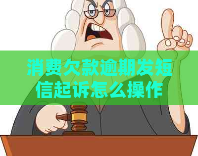 消费欠款逾期发短信起诉怎么操作