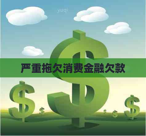 严重拖欠消费金融欠款