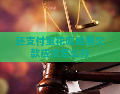 还支付宝花呗逾期欠款应该怎么办