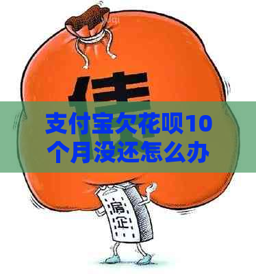 支付宝欠花呗10个月没还怎么办