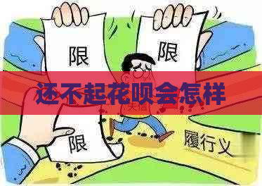 还不起花呗会怎样