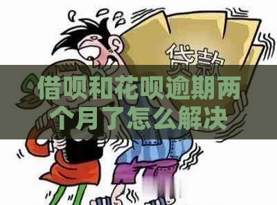 借呗和花呗逾期两个月了怎么解决