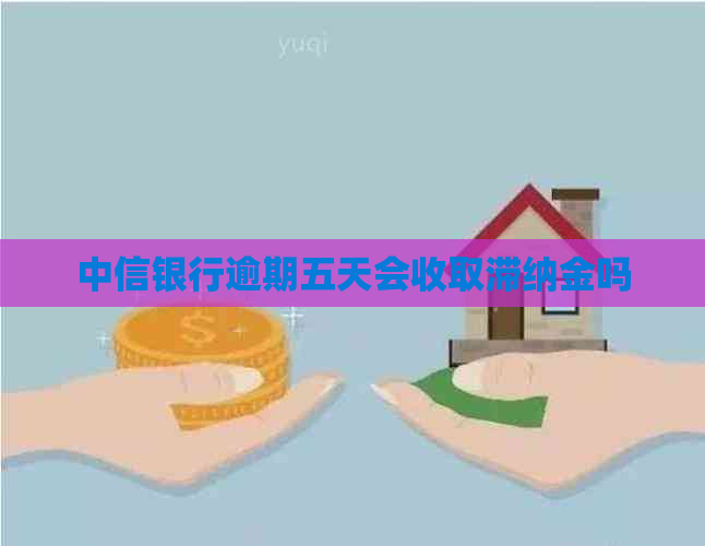 中信银行逾期五天会收取滞纳金吗