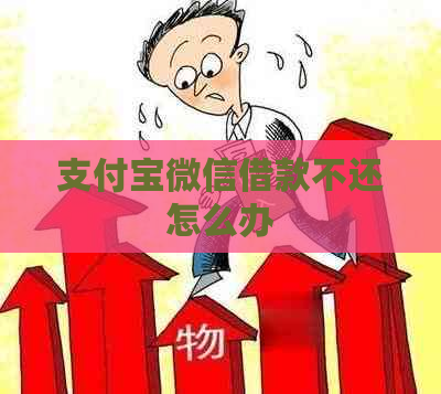 支付宝微信借款不还怎么办