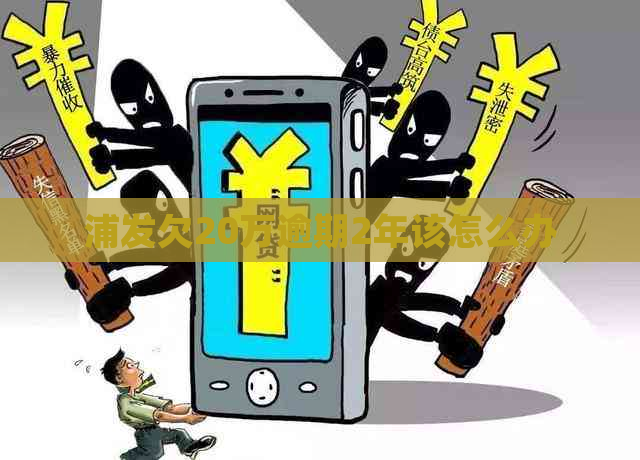浦发欠20万逾期2年该怎么办