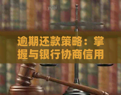 逾期还款策略：掌握与银行协商信用卡分期的技巧