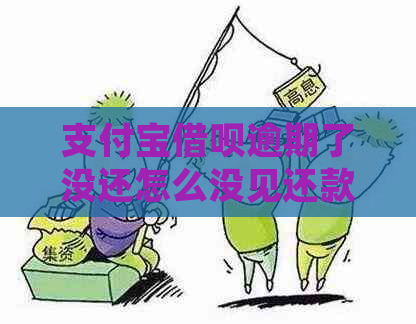 支付宝借呗逾期了没还怎么没见还款金额了呢